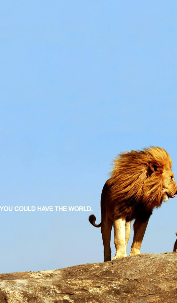 Ты можешь покорить весь мир