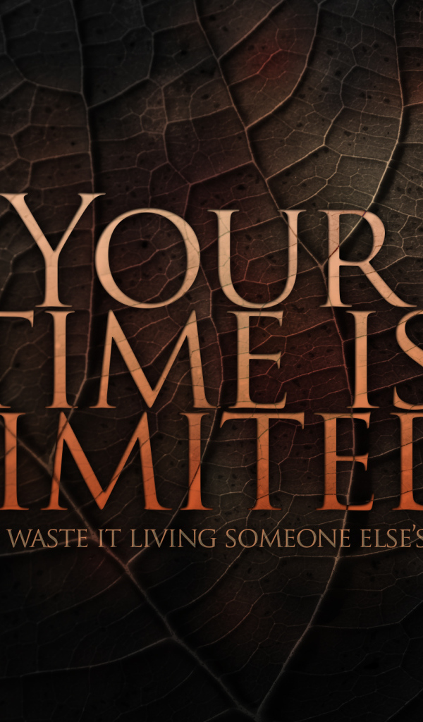 Твое время ограничено, не трать его впустую