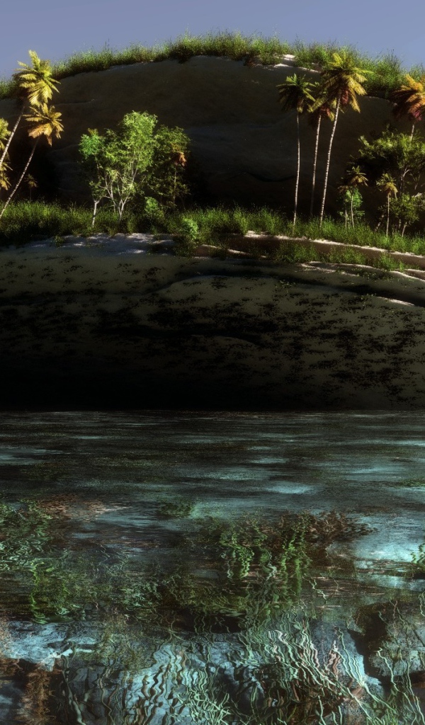 Популярное Гаити