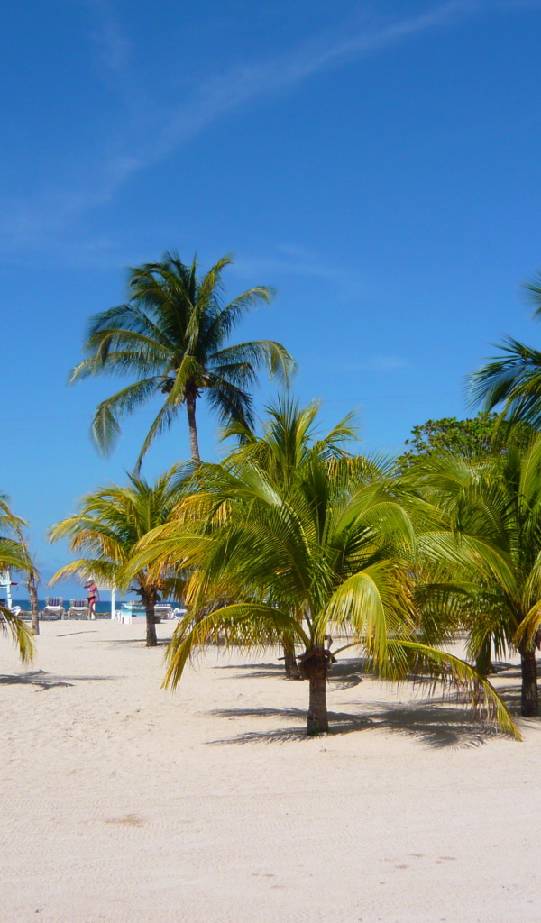 Замечательное место в Гаити