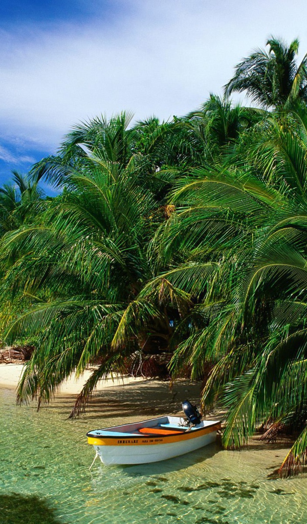 Привлекательное Панама