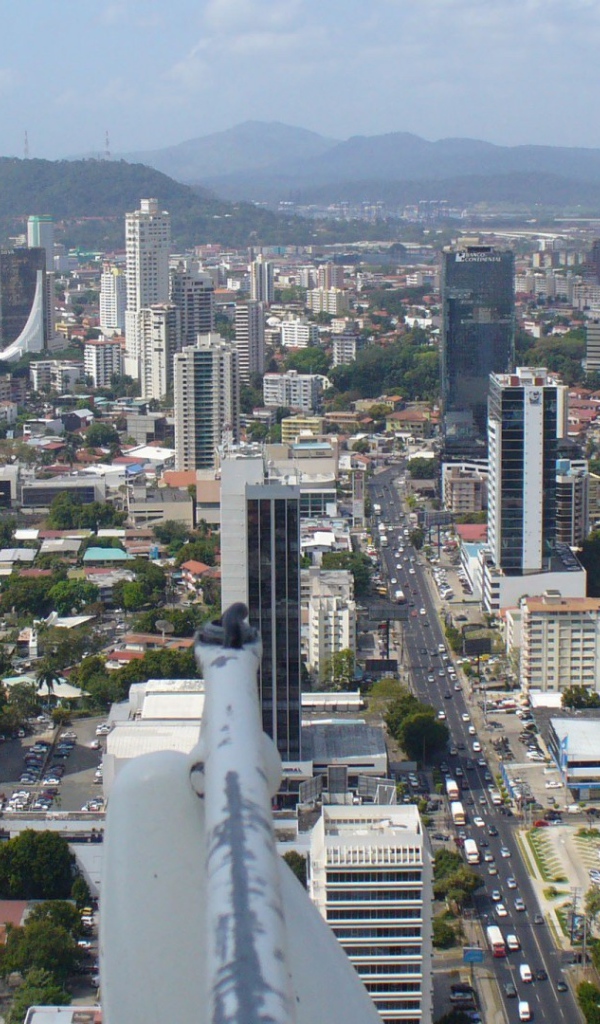 Элегантное Панама