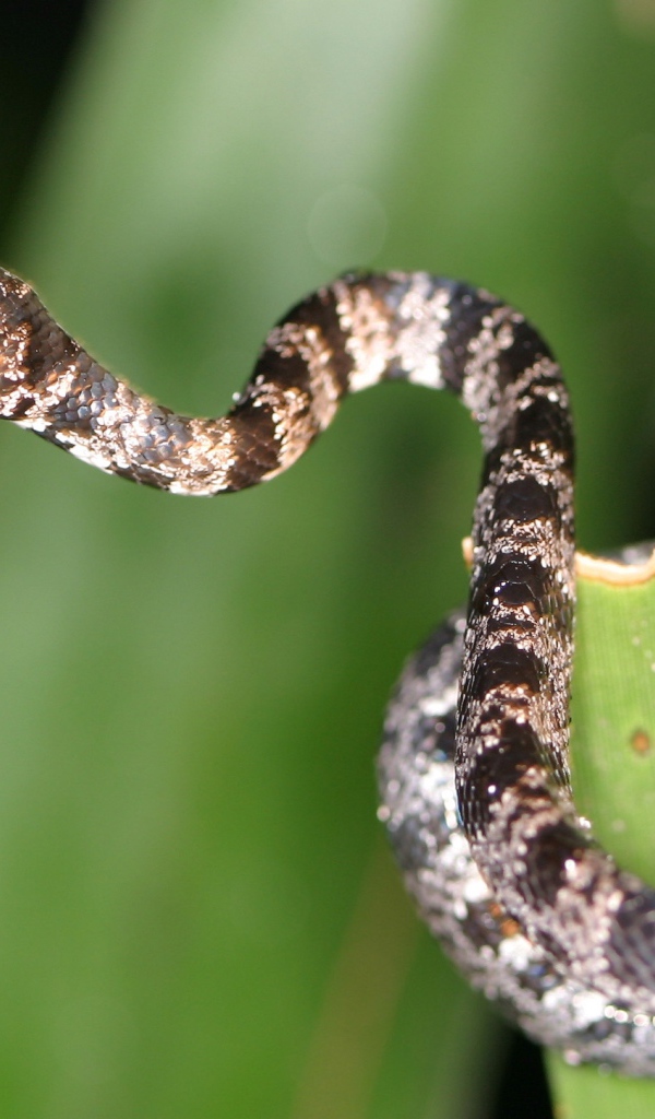 Солнечное Коста-Рика