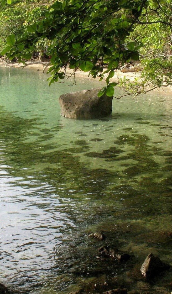 Великолепное Коста-Рика