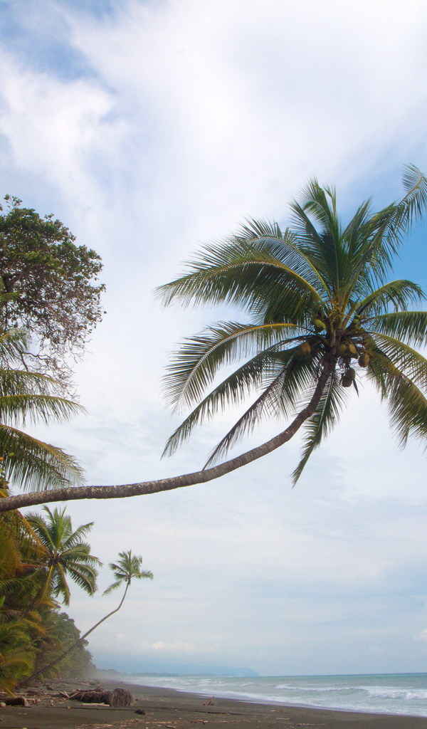 Великое Коста-Рика