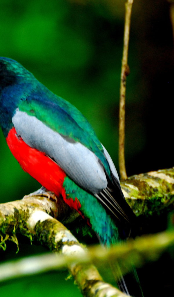 Захватывающие дух страна Коста-Рика