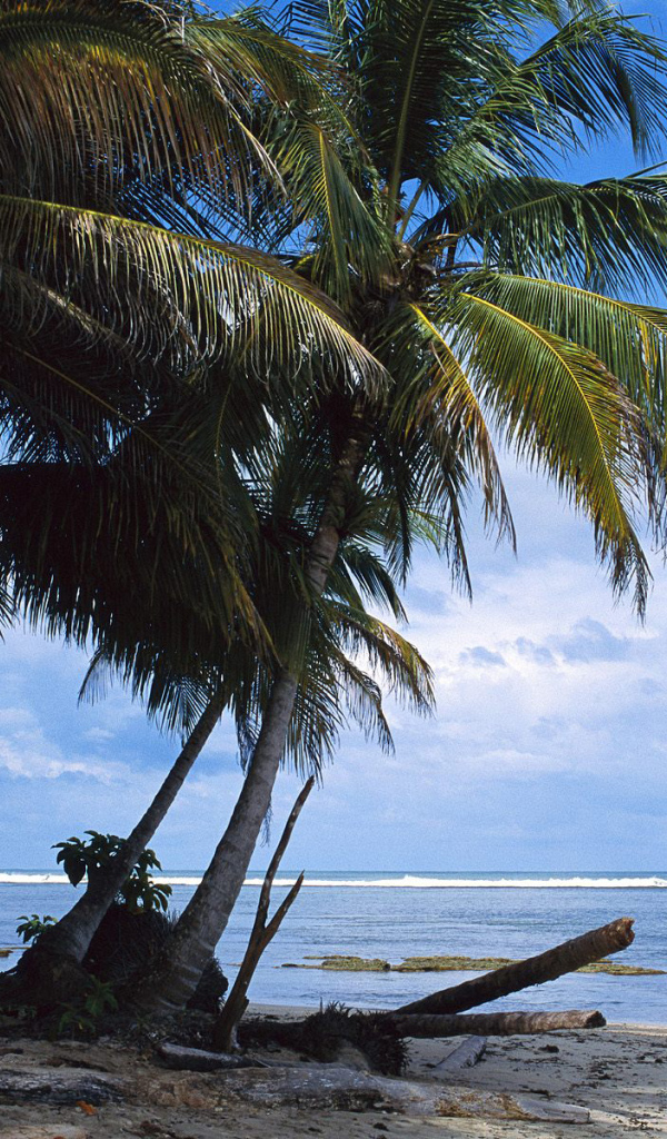 Невероятная страна Коста-Рика