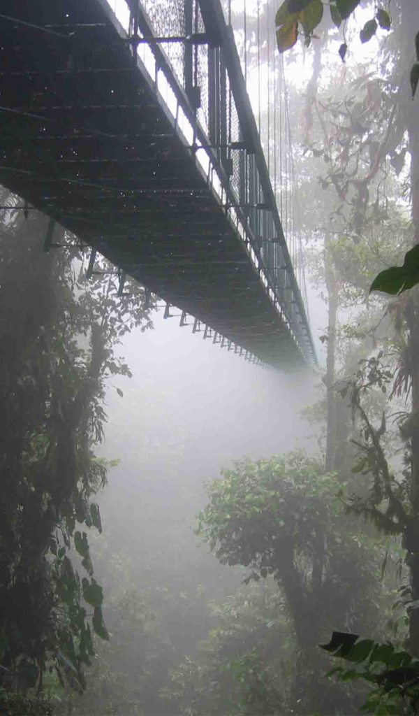 Удивительное место в Коста-Рика