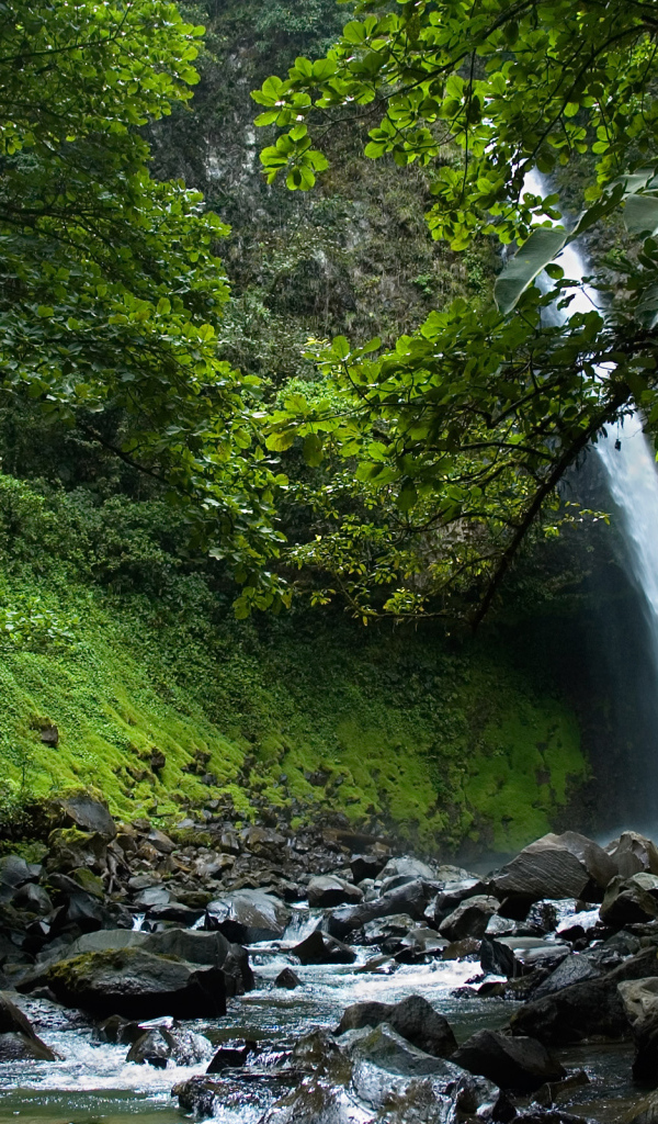 Туристическое место в Коста-Рика