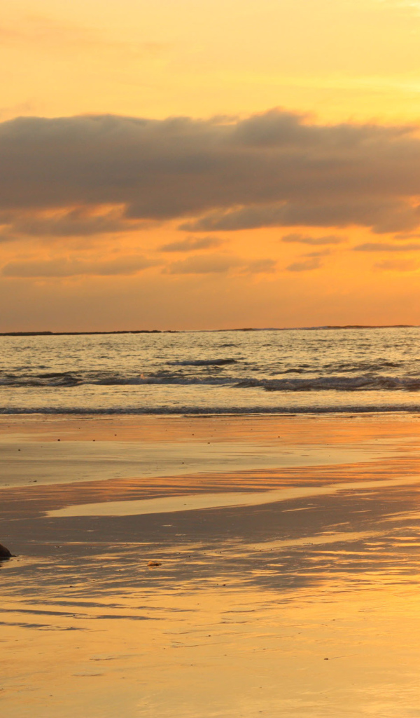 Привлекательное место в Коста-Рика