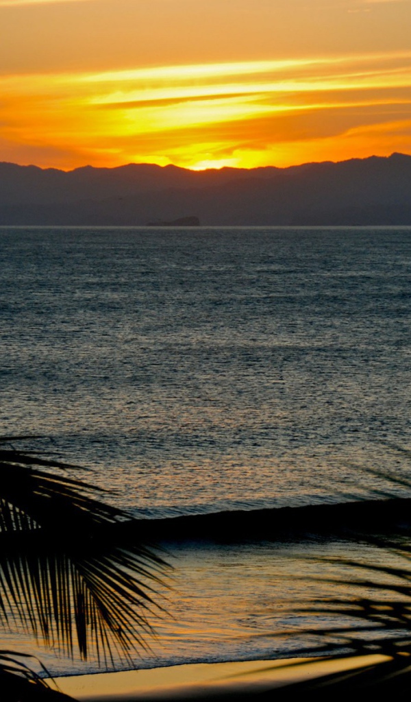 Замечательное место в Коста-Рика