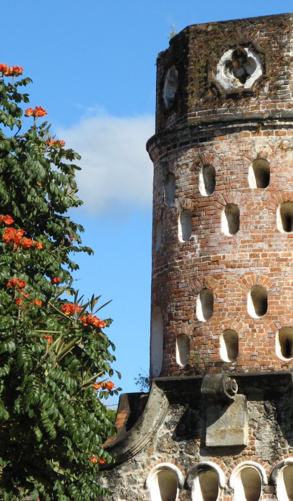 Эредиа Коста-Рика