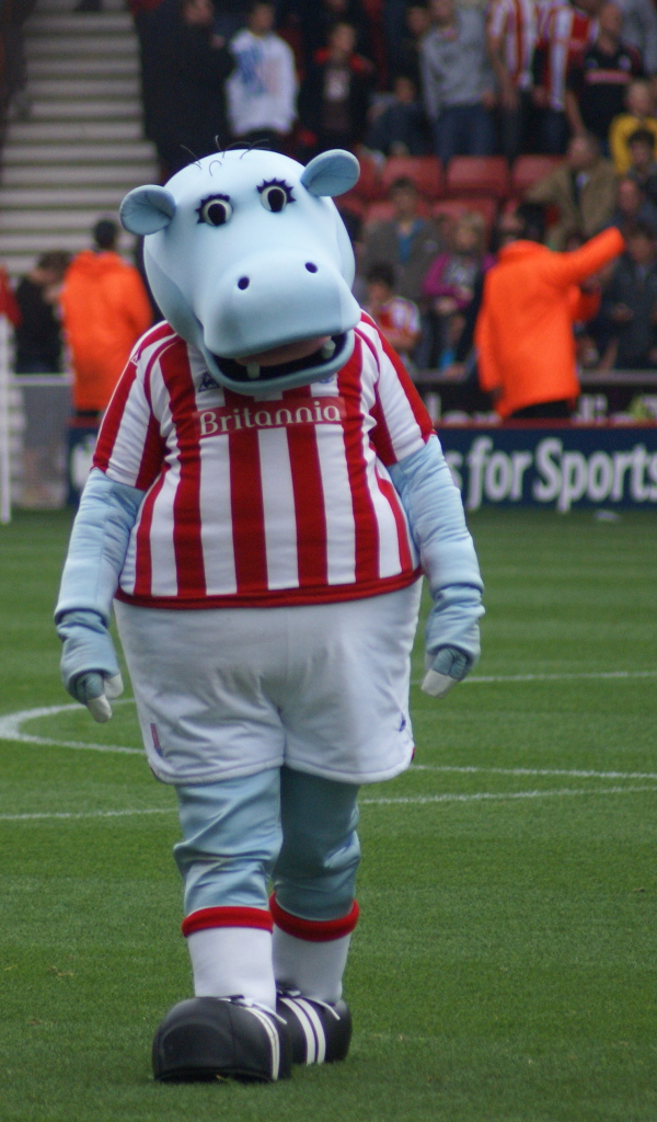 Известный ФК Сток Сити