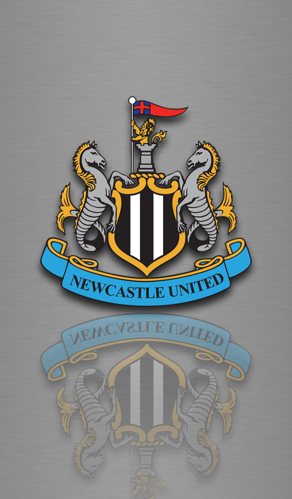 Известная футбольная команда Англии Ньюкасл Юнайтед