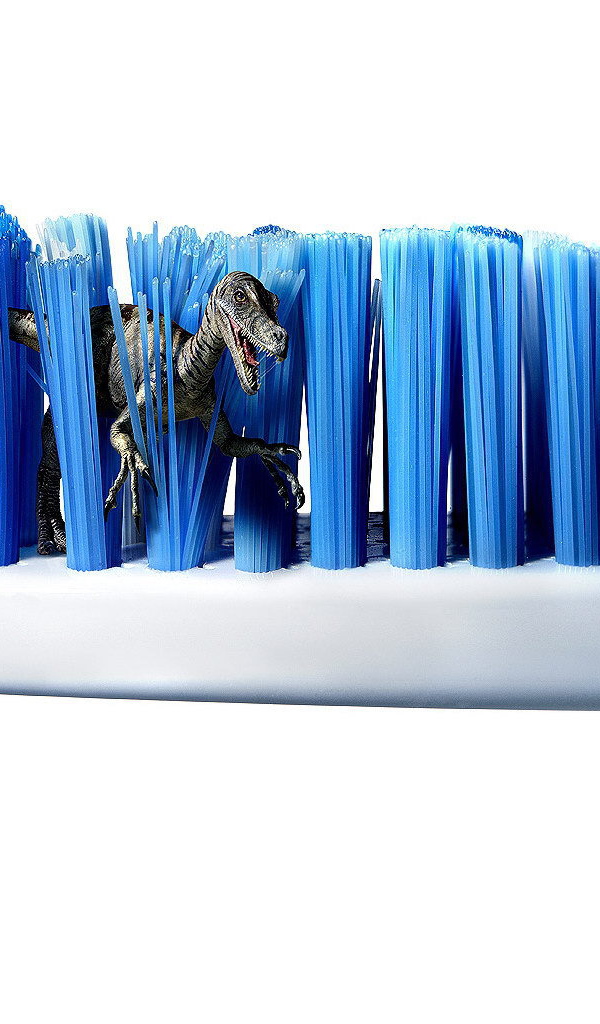	   Dinosaur in the toothbrush