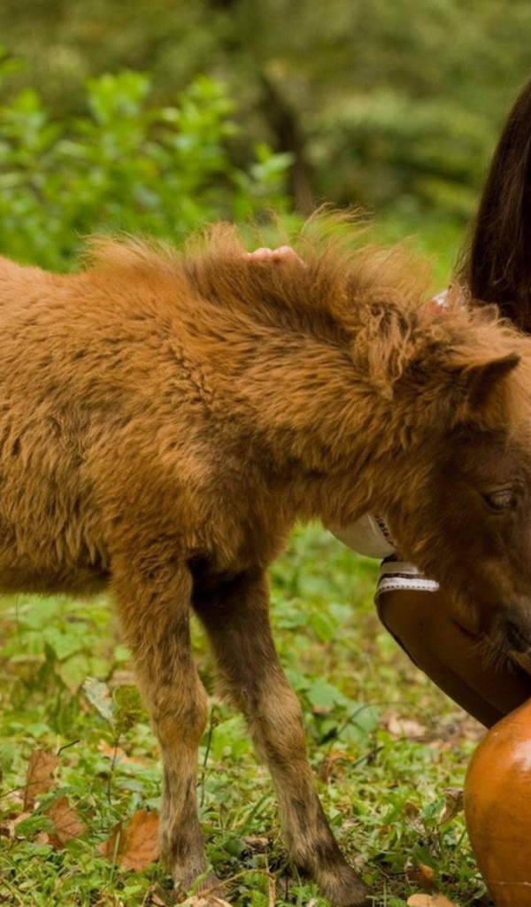 Девушка с кувшином
