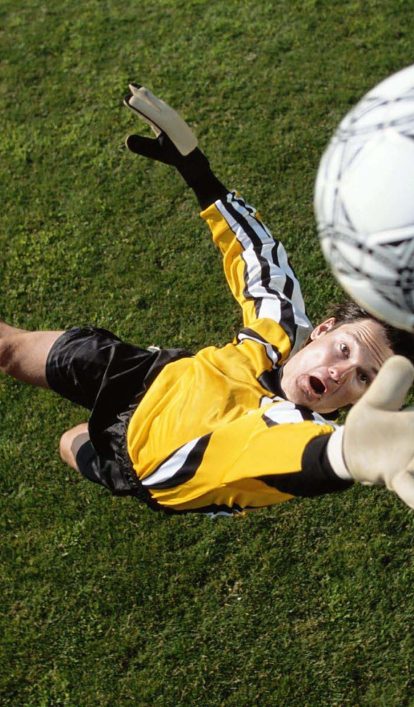 Вратарь ловит мяч