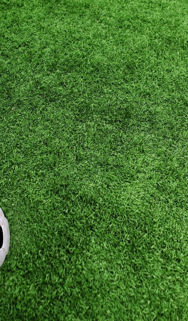 Футбольный мяч на траве