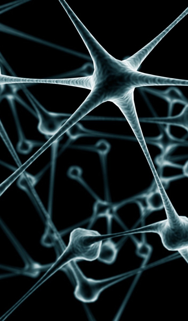 Связи нейронов в мозге