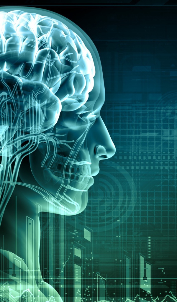 Цифровой снимок мозга человека