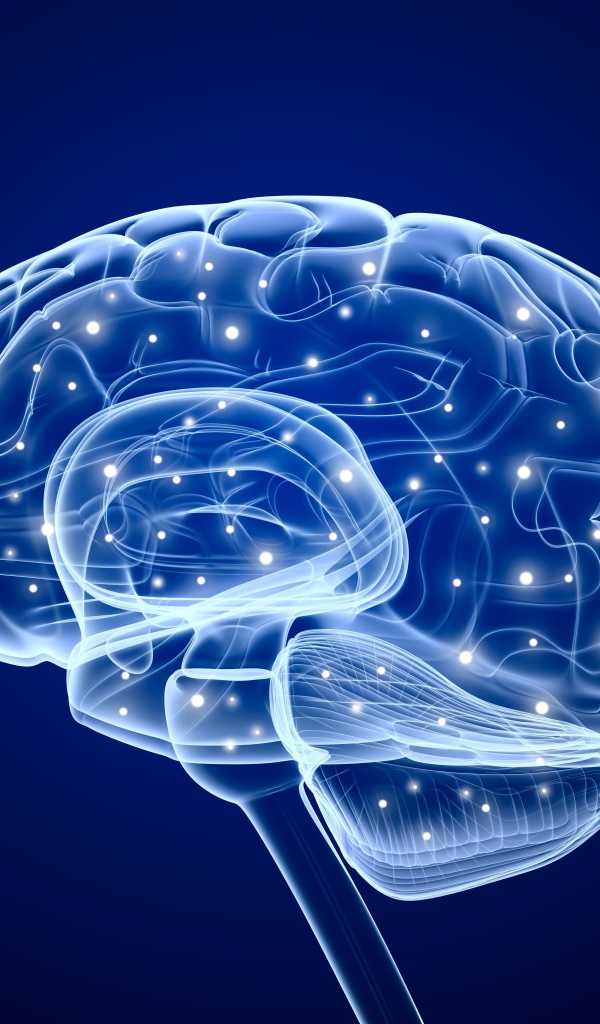 Электрические сигналы мозга