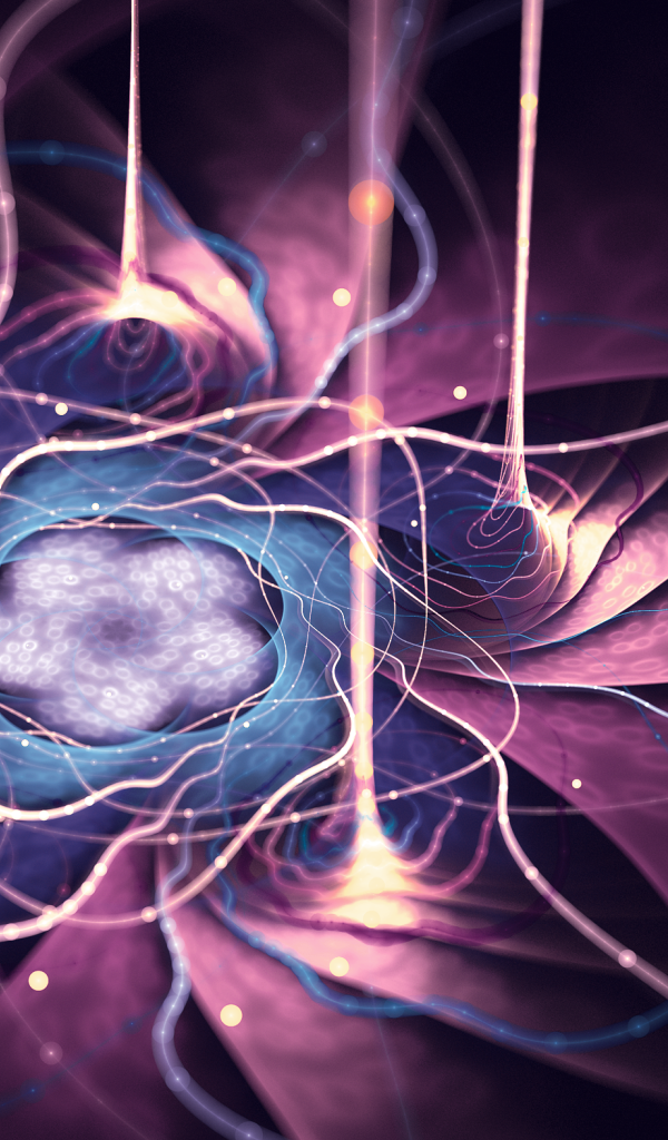 Потоки энергии фиолетового цветка