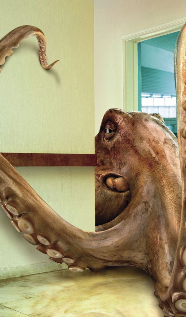 Осьминог в комнате, 3Д графика