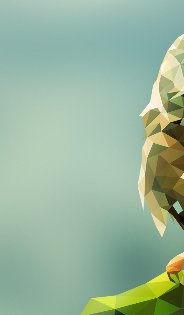 Сова на камне, 3Д графика