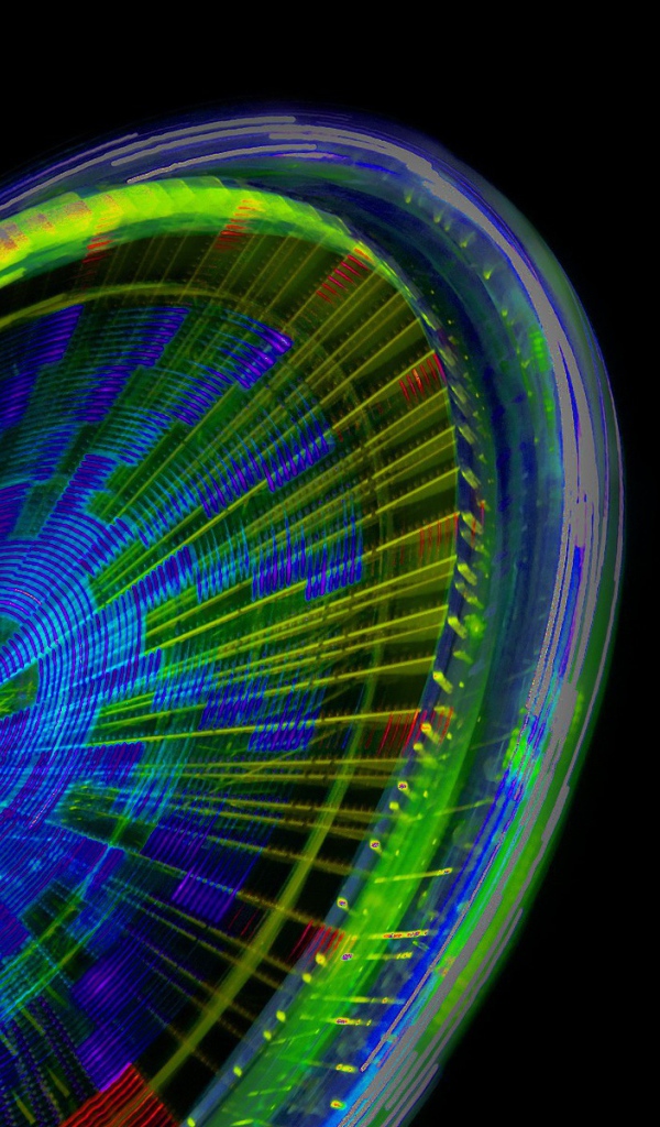 Радужное колесо рулетки