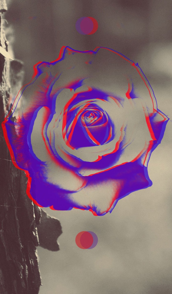 Силуэт розы на фоне ствола дерева