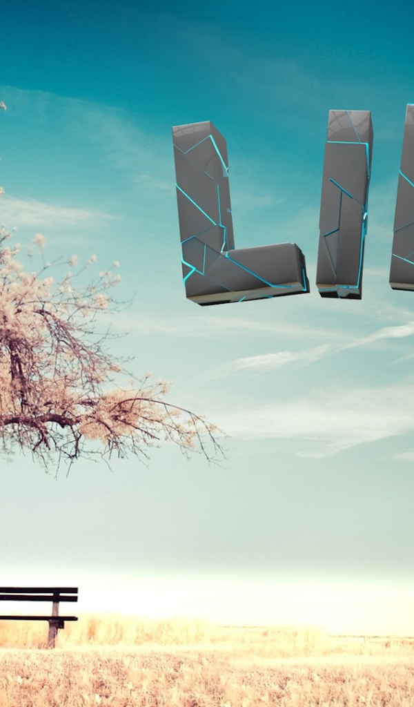 Буквы в небе у дерева, 3-Д графика