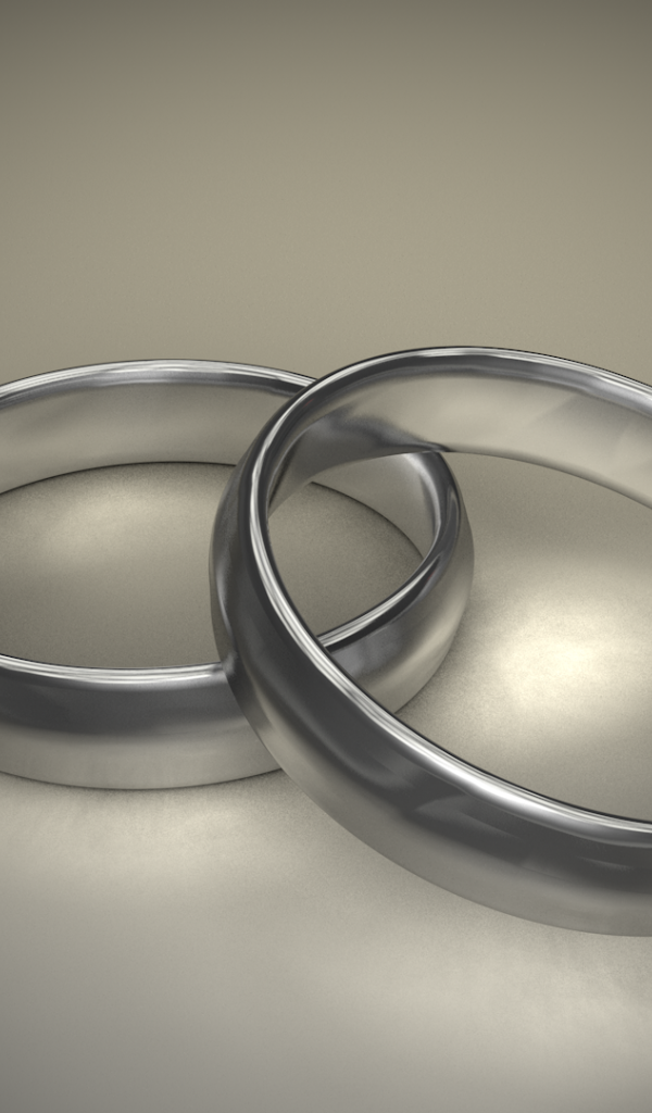 Два кольца, 3Д модель