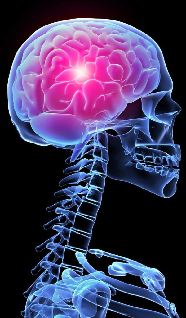 Рентгеновский снимок тела человека