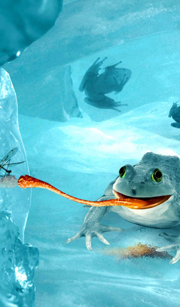 Лягушка среди льдов