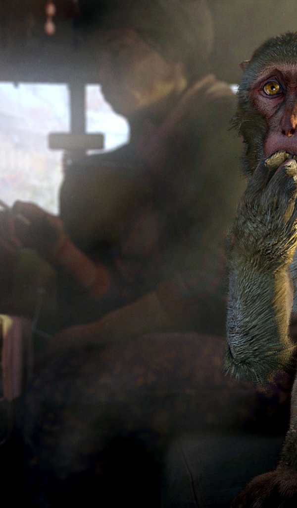 Обезьяна и курица в грузовике