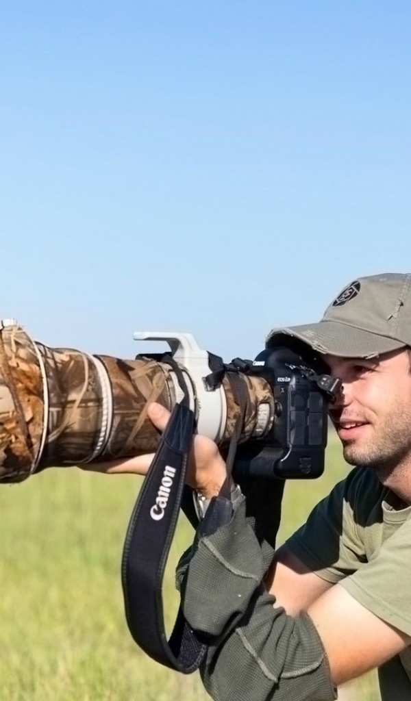 Беззастенчивый сурикат