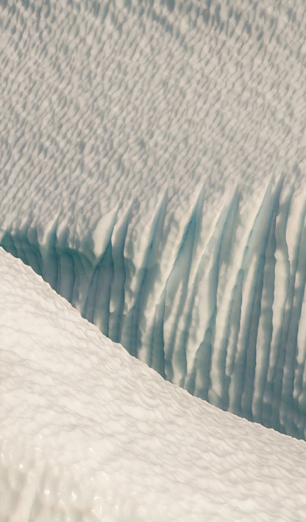 Полярный медведь в снежной пустыне