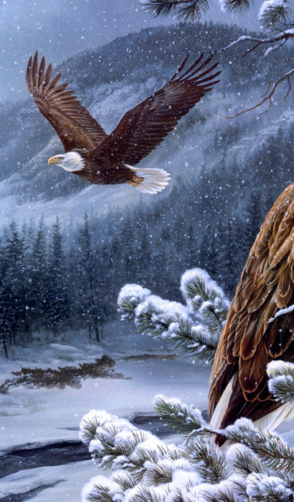 Белоголовые орланы в горах