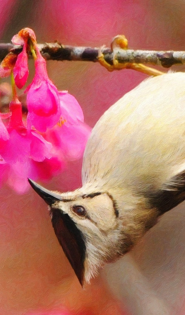 Птичка на ветке вниз головой