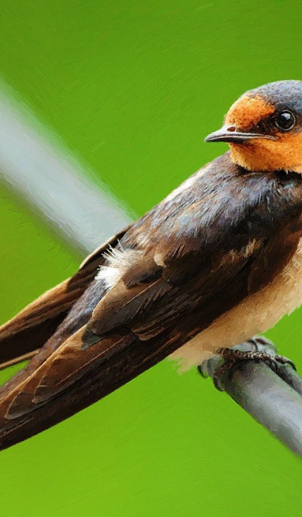 Птица на зеленом фоне