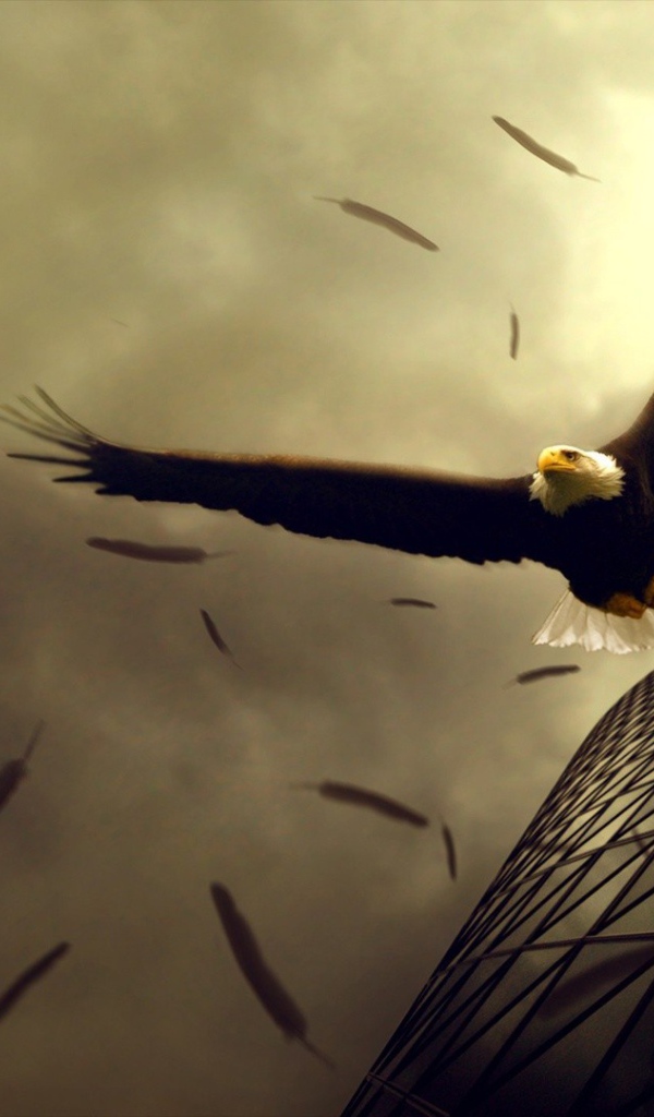 Орел теряет перья в полете