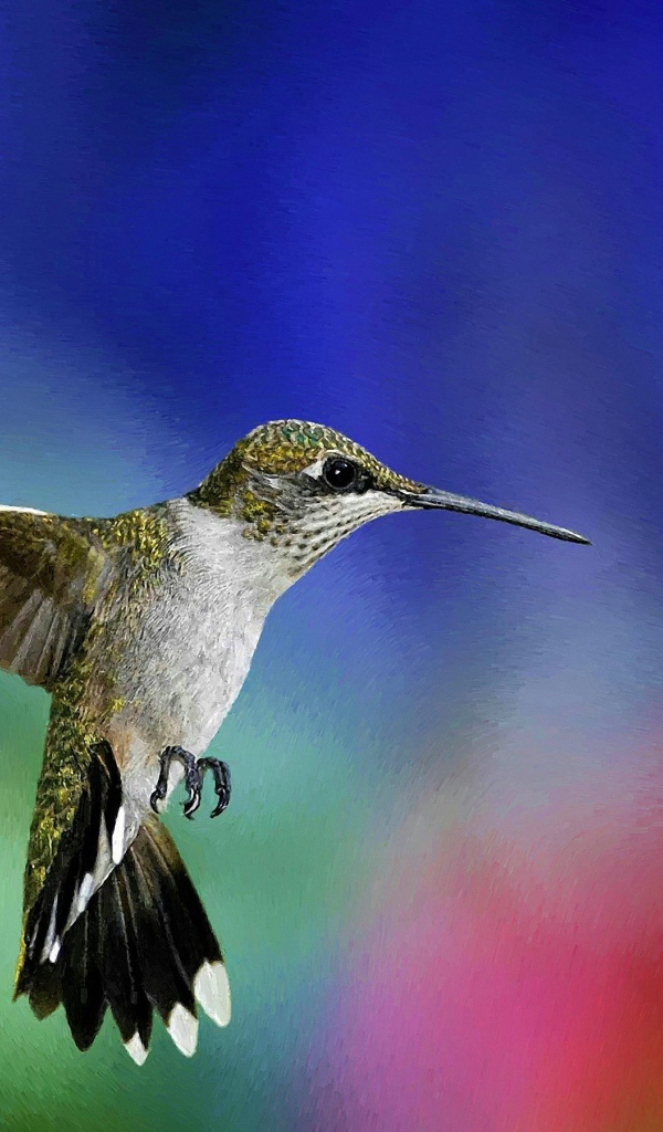 Зеленая колибри в воздухе