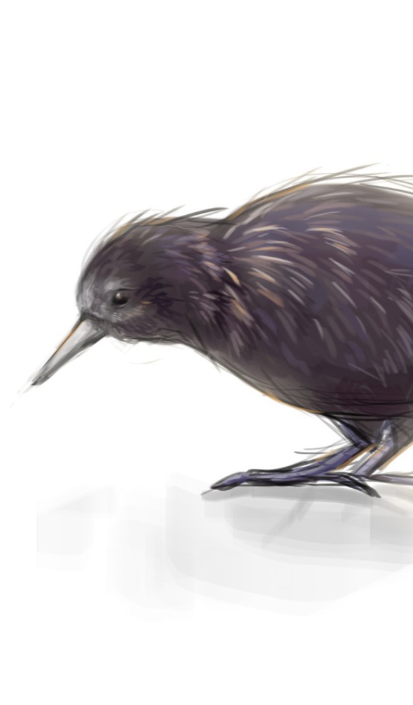 Киви это и птица и фрукт