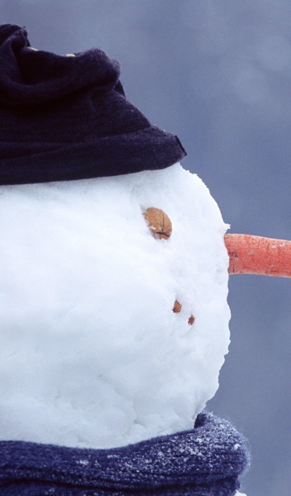 Синица на носу снеговика