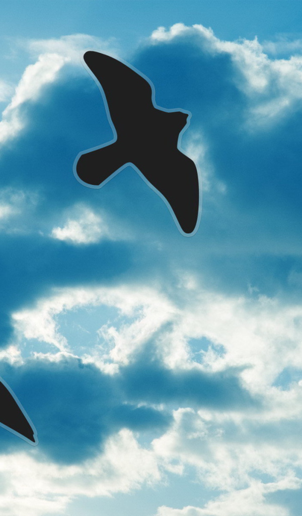 Силуэты птиц на небе