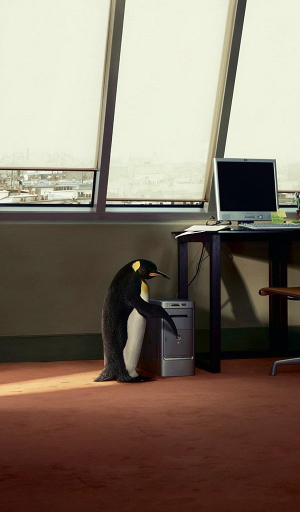 Пингвин и компьютер