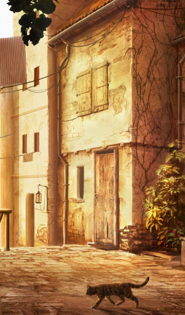 Кошка переходит дорогу