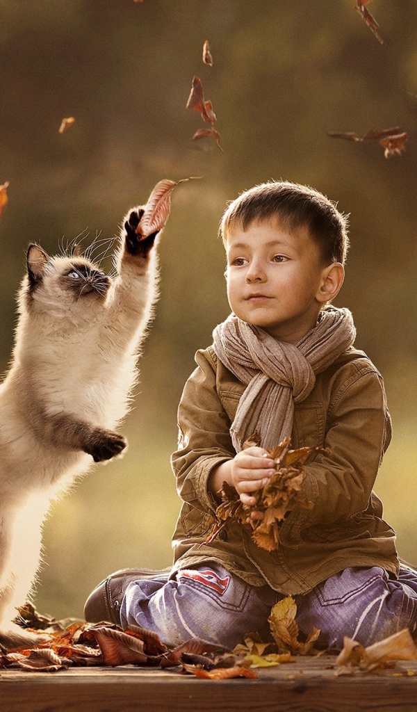 Ребенок и кот играют вместе