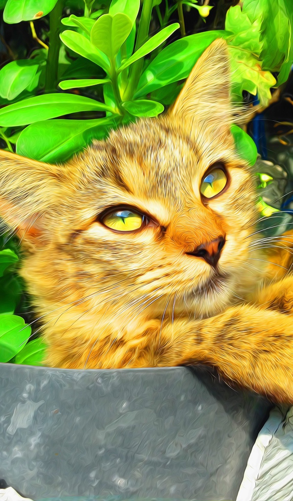 Милый рыжий кот на фоне зелени