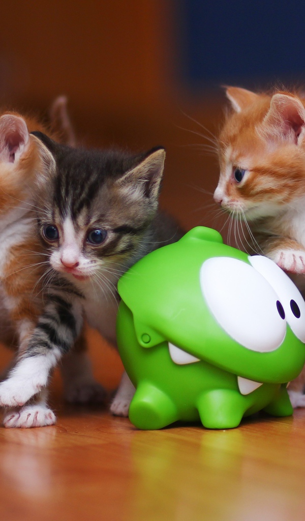 Пять котят с игрушкой